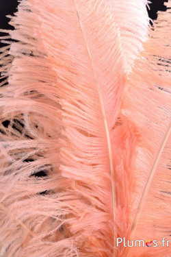 Struzzo tagliato - 50-60 cm - salmone rosato